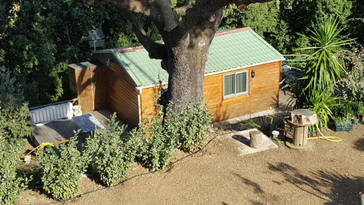 Le Petit Chalet Porticcio  Eksteriør billede