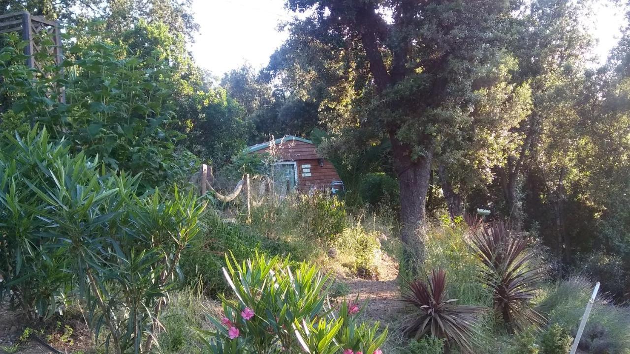 Le Petit Chalet Porticcio  Eksteriør billede